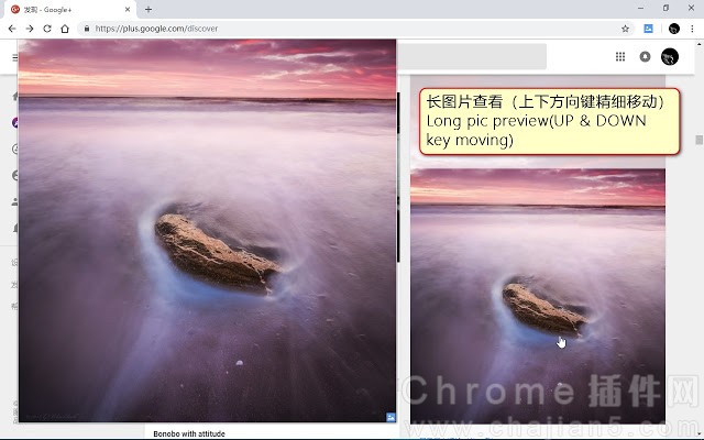 浮图秀Chrome插件下载安装