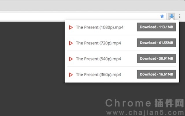 网页视频下载器 Chrome插件Video Downloader professional