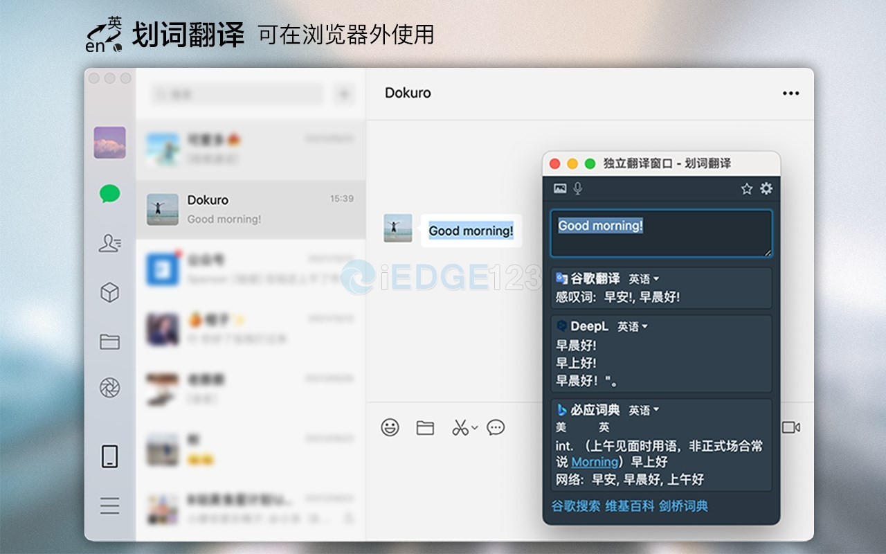 划词翻译 v10.1.0（能在 网页PDF 里使用的翻译插件）