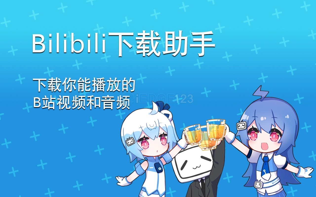 Bilibili 哔哩哔哩 B站视频 下载助手