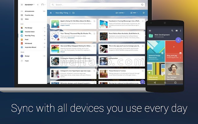 Raindrop.io v6.5.11（跨平台网络书签）