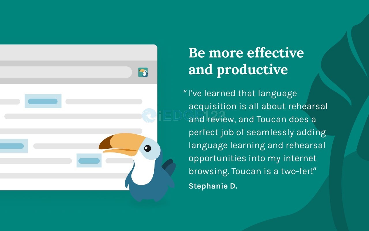 Toucan v1.4.0（外语语法学习插件）