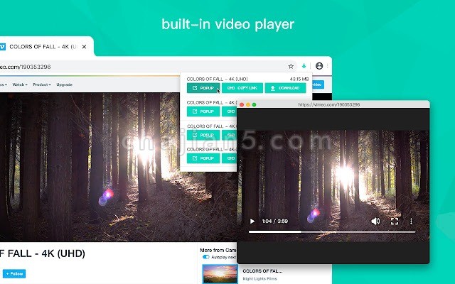 Video Downloader for Web v1.0.6.0（网页视频下载）