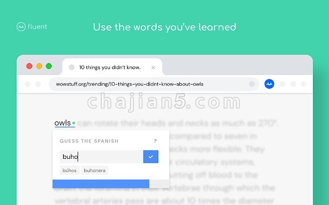 Fluent v1.9.9（网页单词翻译 语言学习插件）