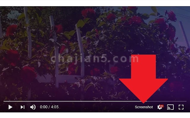 Screenshot Youtube 截取油管视频画面的插件