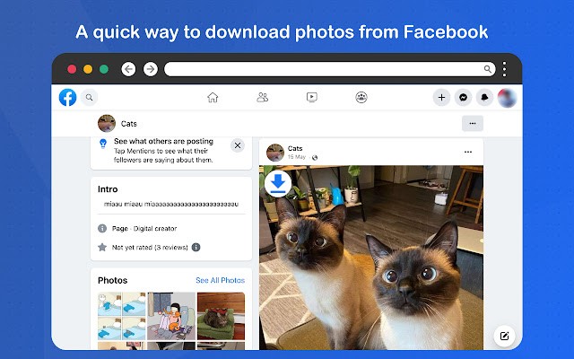 Video Downloader for Facebook v1.3.3.0（从FB上下载视频和图片）