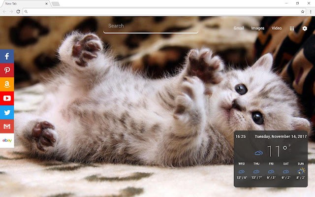 Cats New Tab Page 专门为爱猫人士做的一款新标签页插件