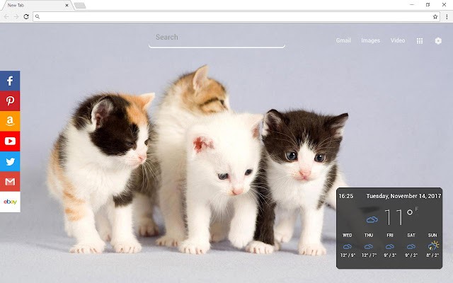 Cats New Tab Page 喜欢猫爱猫人士的chrome新标签页插件