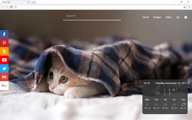 Cats New Tab Page 喜欢猫爱猫人士的chrome新标签页插件