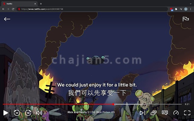 Netflix Bilingual Subtitles 网飞netflix双语字幕