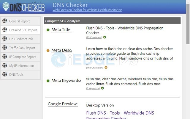 DNS Checker SEO 和域名分析工具