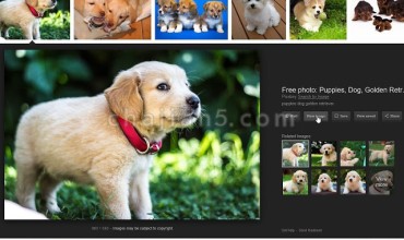 View Image为Google图片搜索添加“查看图片”和“以图搜图”按钮
