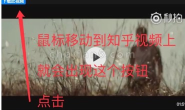 乎视-自动识别知乎视频显示下载按钮