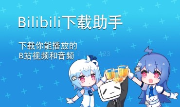 bilibili 哔哩哔哩 B站视频 下载助手