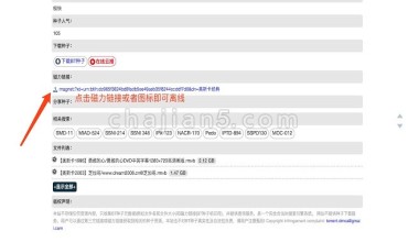 付费插件:针对115网盘会员用户提供磁力快速离线下载功能