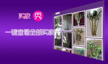 一键查看淘宝天猫京东商品买家秀