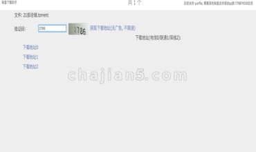 (付费插件)网盘下载助手-解析网盘资源下载地址的工具