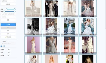 UBP图片下载器-按分辨率、链接等筛选当前页面图片