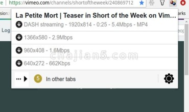 Video DownloadHelper 网页视频嗅探下载