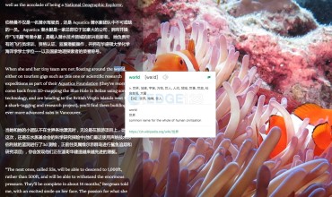 Lingocloud -Web Translation Extension彩云小译 - 网页翻译插件