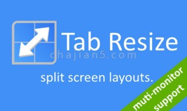 Tab Resize 支持多种格式的网页分屏助手