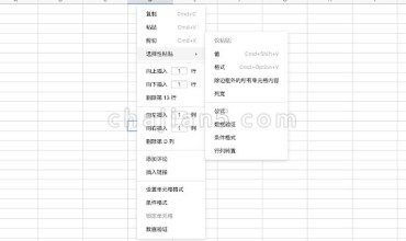 石墨表格剪切板-可以访问系统剪切板的内容