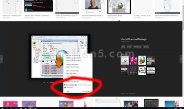 Internet Download Manager(配合IDM使用)