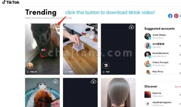Tiktok downloader 从抖音国际站TikTok下载视频