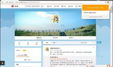 Easy to RSS 获取网页RSS