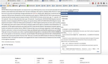 丁香园医学英汉词典-收录百万医学词汇,支持划词翻译,提供论文例句