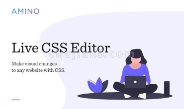 Amino: Live CSS Editor 在线修改网站CSS样式的编辑器