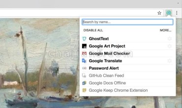 快捷扩展管理 Google插件管理器 一键快速激活、禁用插件