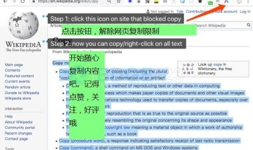 Simple Allow Copy解除屏蔽右键复制功能的插件