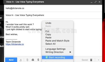 VoiceIn 在网站的文本框中使用语音识别功能