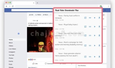 Flash Video Downloader Plus 支持从网站下载各种视频