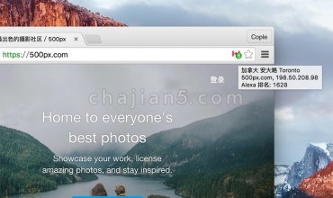DomainFlag 显示当前网站服务器地区 Alexa 排名等 SEO 信息