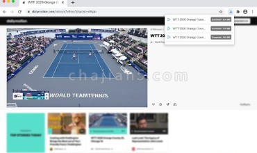Video Downloader Pro 从网页下载视频的插件