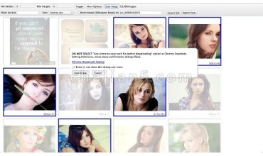 Fatkun图片批量下载 - Pro