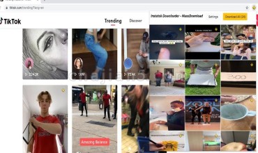 TT Downloader 支持从Tik tok单个或批量下载视频