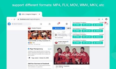 Video Downloader for Web 网页流媒体视频下载插件
