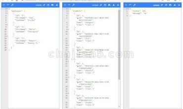 JSONViewer 一个浏览器窗口支持格式化多个JSON文档