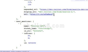 JSONVue 在Chrome上验证和查看JSON文本