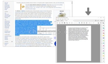 Print Selection to PDF 网页内容快速保存/下载为PDF格式