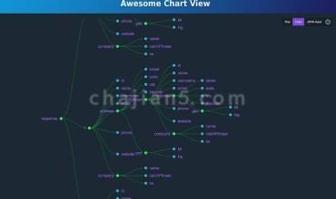 JSON Viewer Pro 可视化JSON