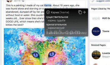 XTranslate 翻译网页文本 自定义弹出框样式