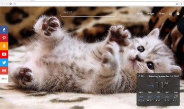Cats New Tab Page 专门为爱猫人士做的一款新标签页插件