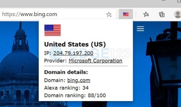IP Domain Country Flag 在位置栏中显示国家/地区标志和其他IP/域信息